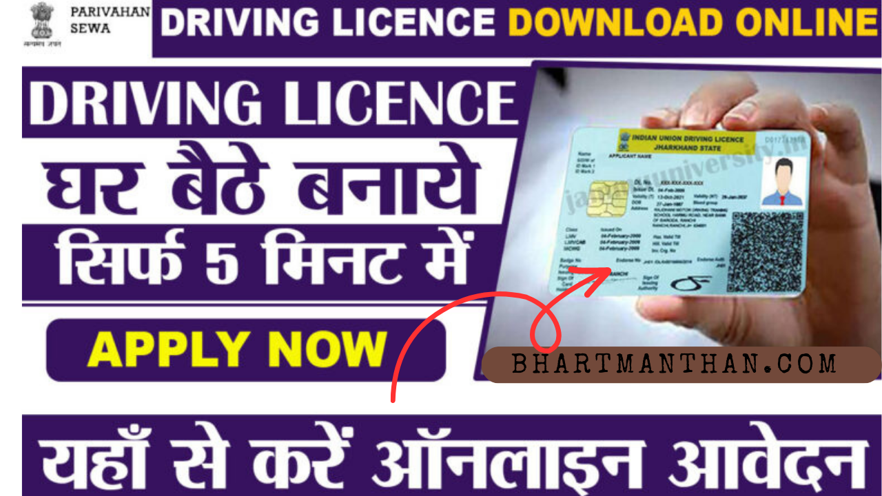 Driving licence 2023